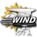 Windy with Scattered Storms